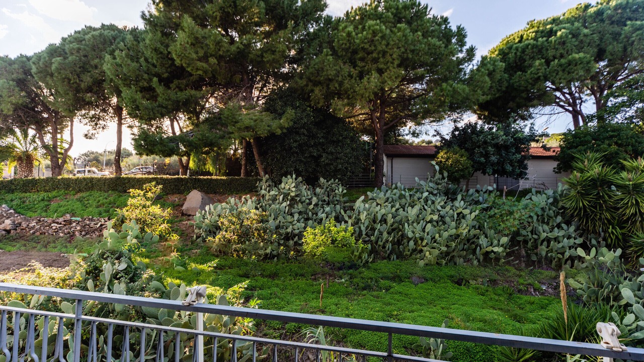 Photo of Outdoor in Aci Trezza