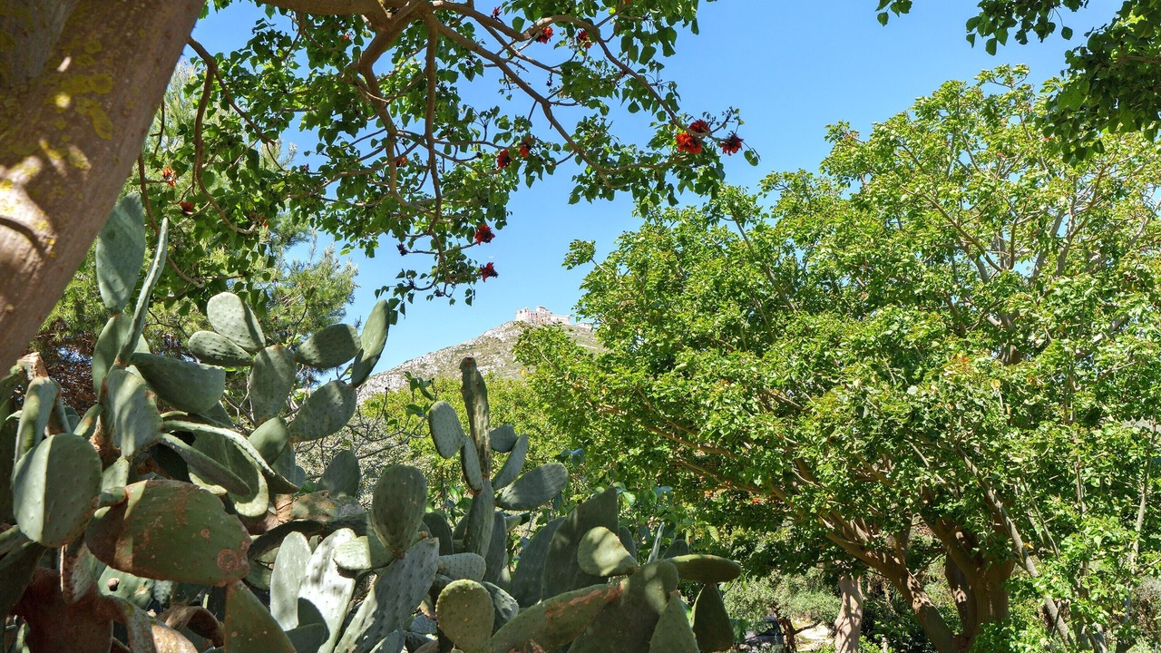 Photo of Others in Favignana