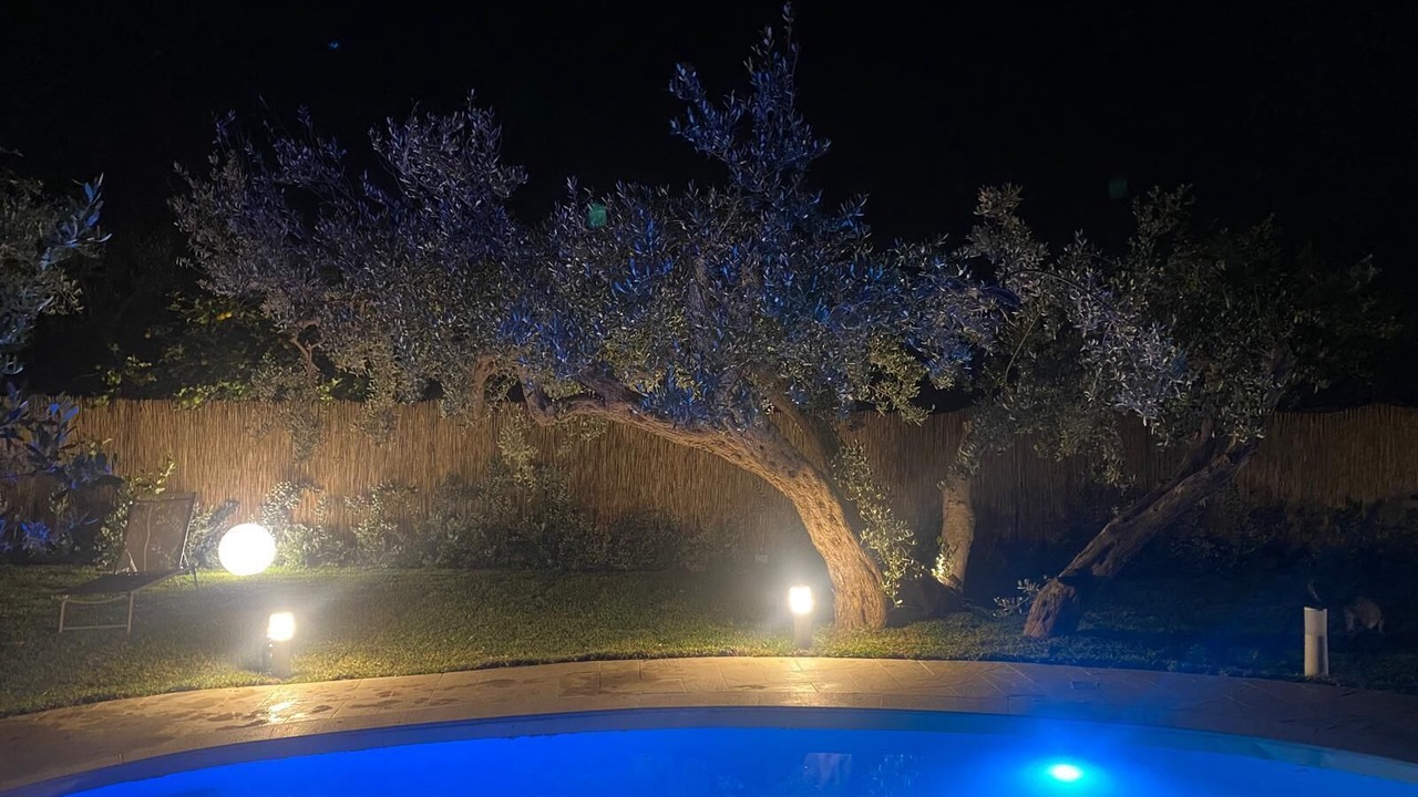 Photo of Outdoor in Terrasini
