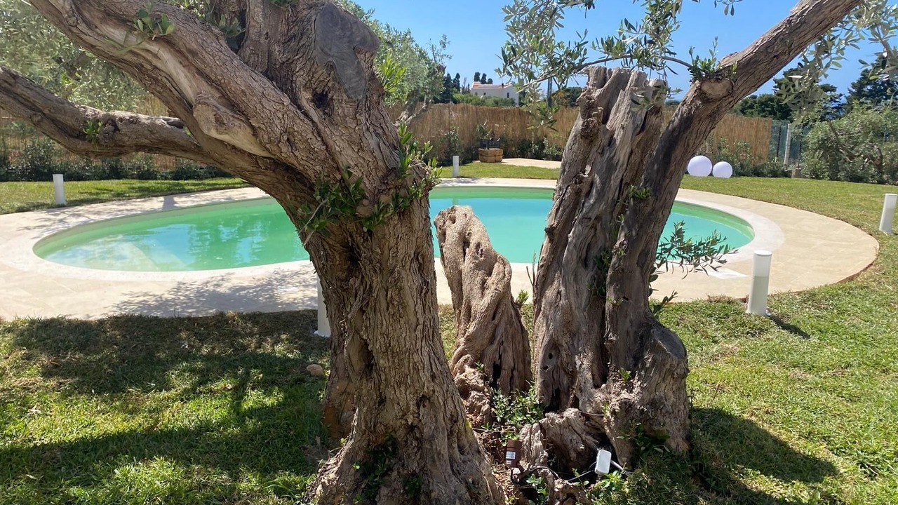 Photo of Outdoor in Terrasini