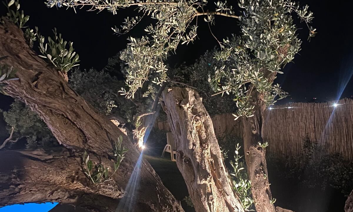Photo of Outdoor in Terrasini