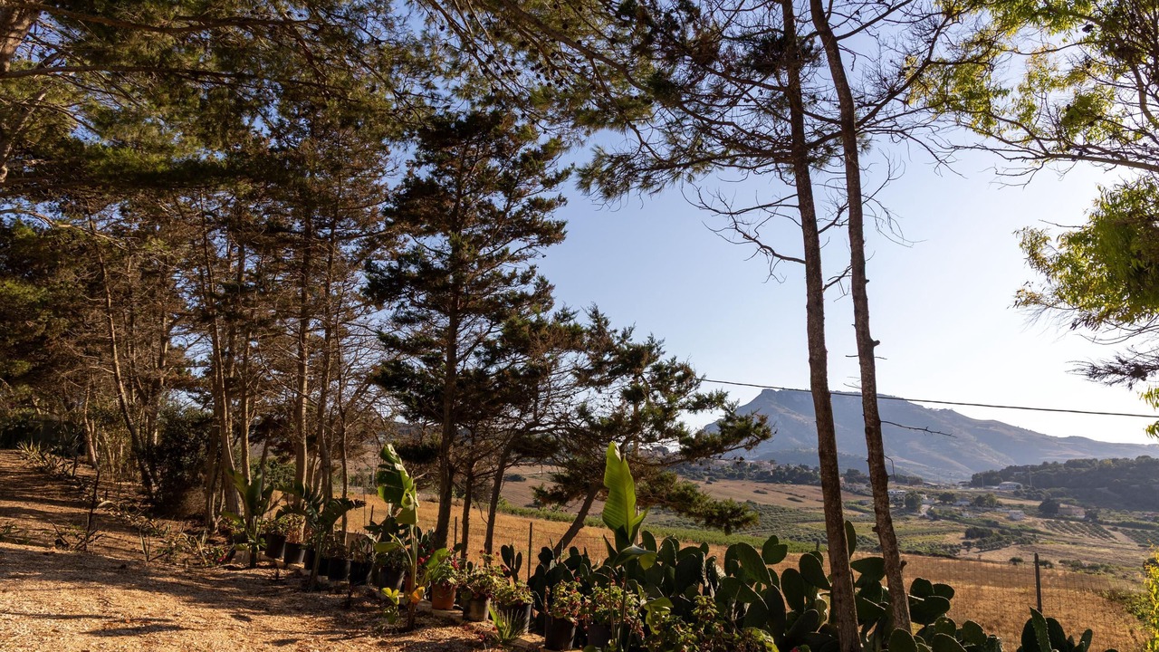 Photo of Outdoor in Valderice