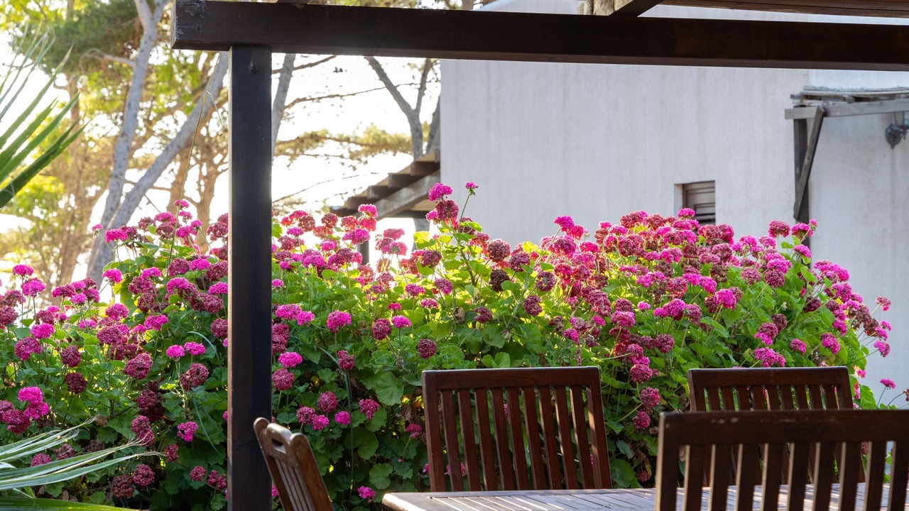 Photo of Outdoor in Valderice