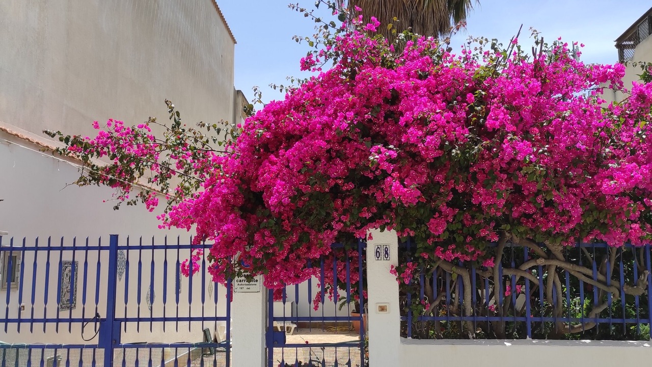 Photo of Outdoor in San Vito Lo Capo