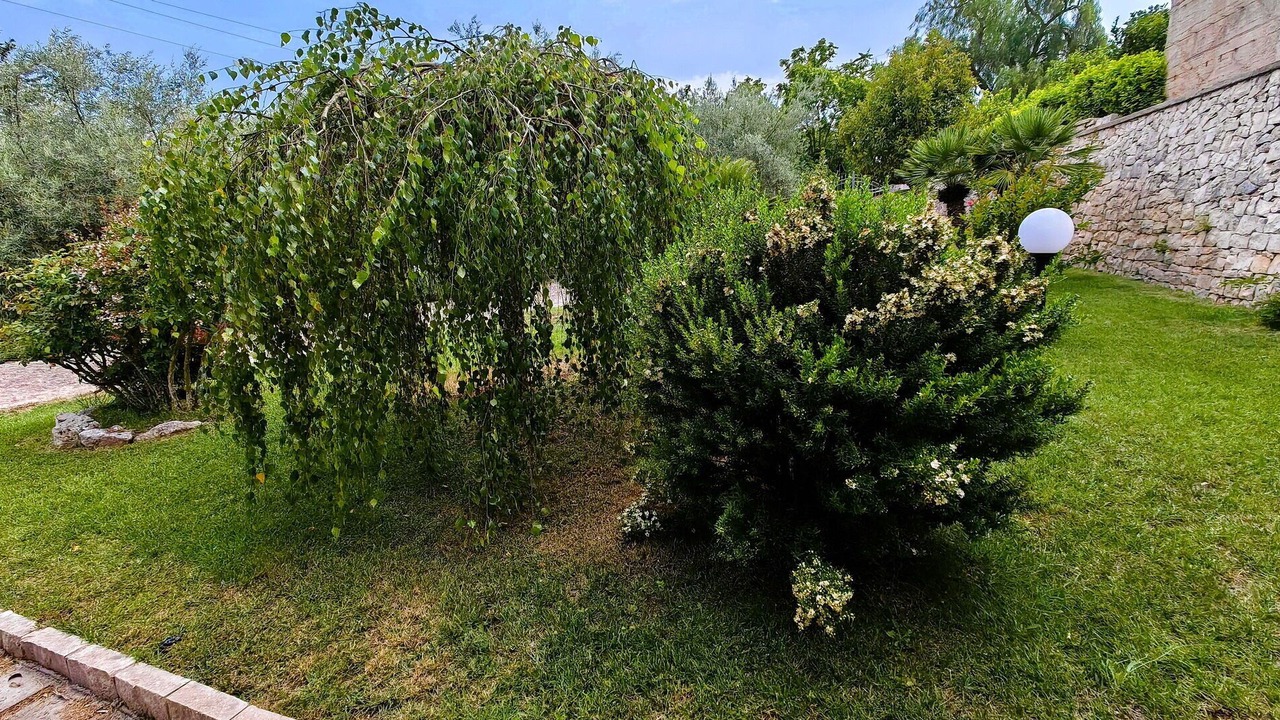 Photo of Outdoor in Ragusa