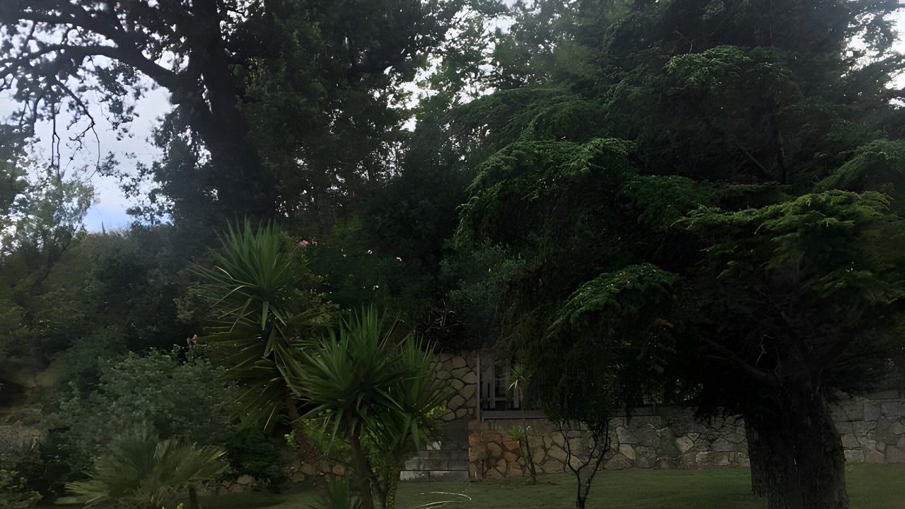 Photo of Outdoor in San Lucido