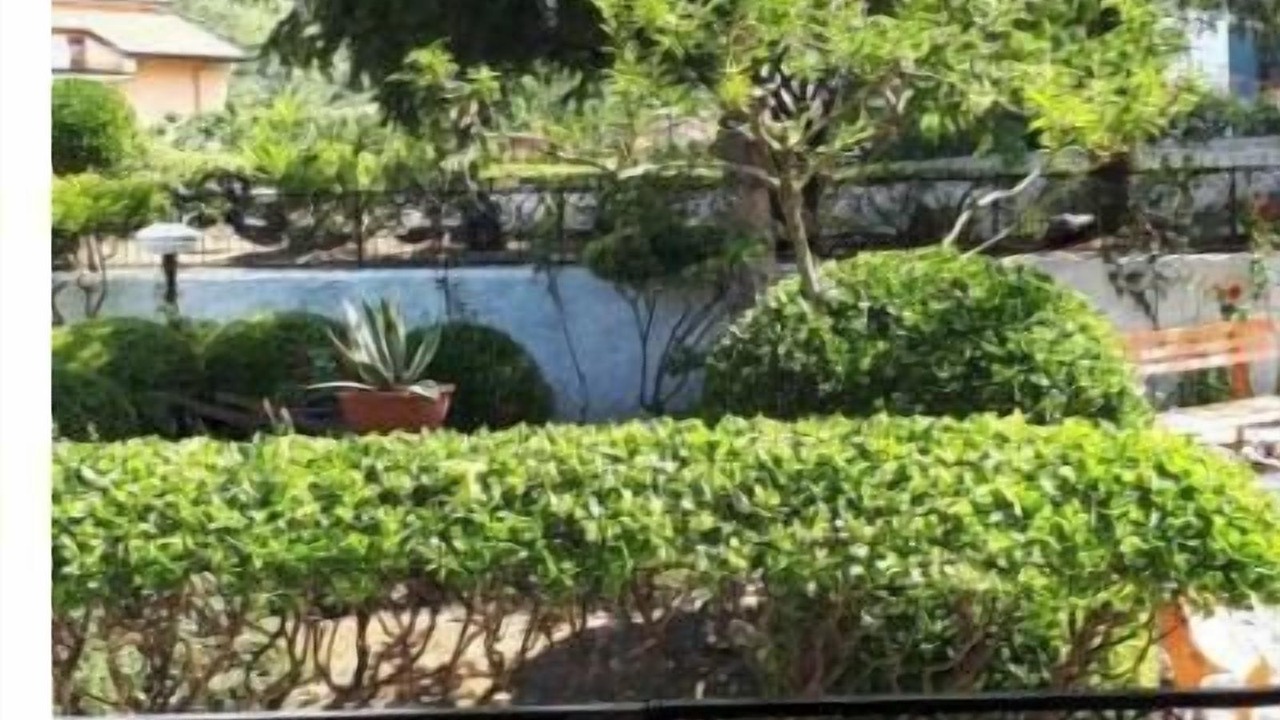 Photo of Outdoor in Falconara Albanese