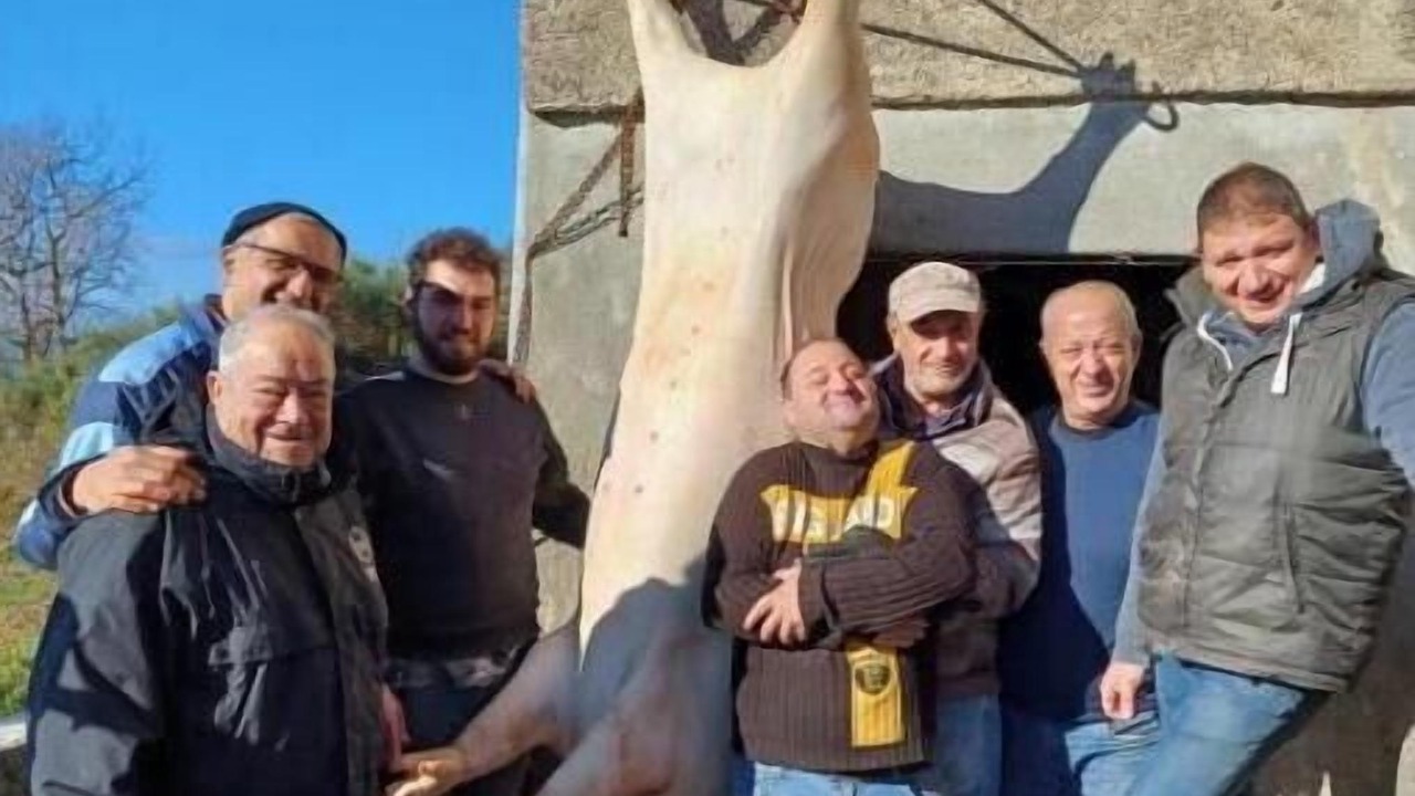 Photo of Others in Falconara Albanese