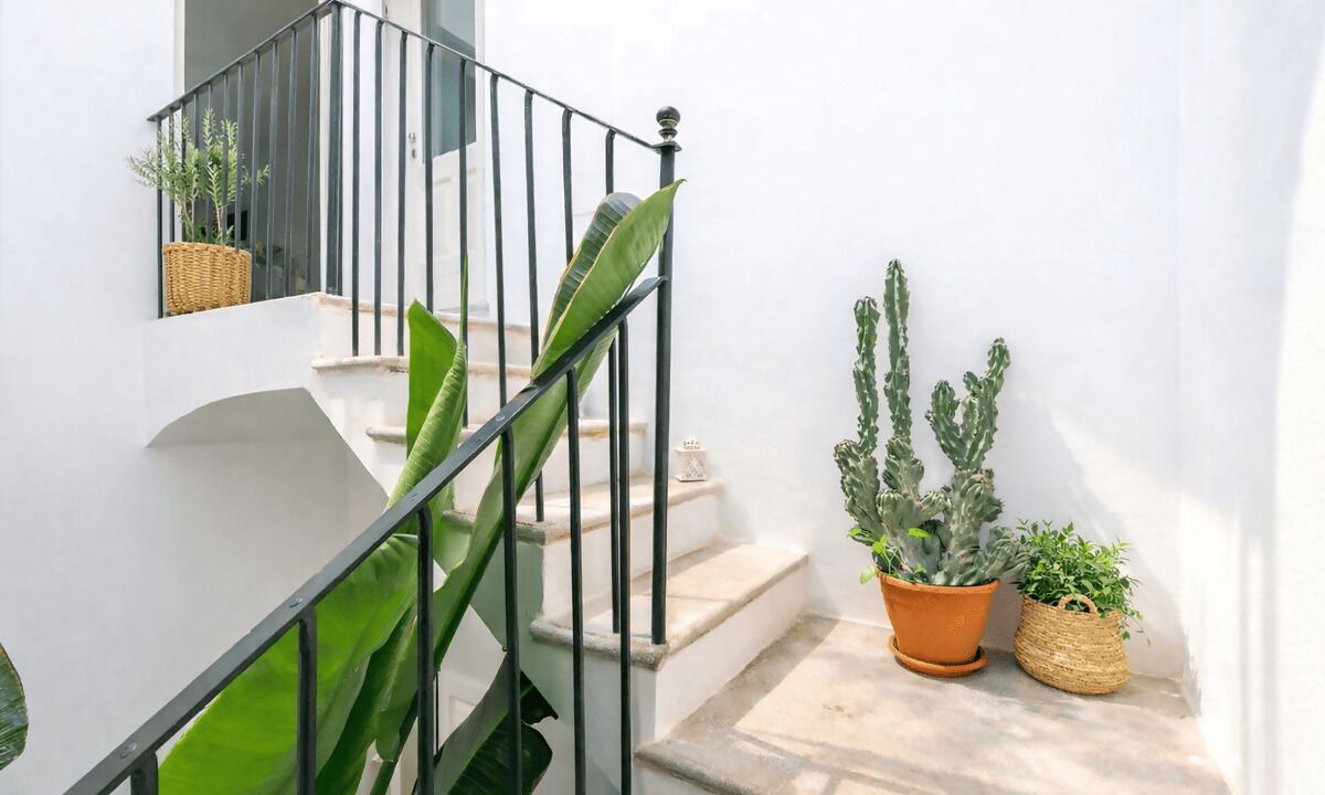 Photo of Outdoor in Alessano