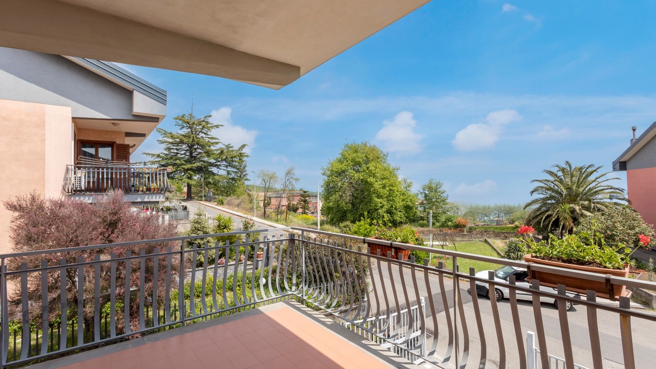 Photo of Outdoor in Milo