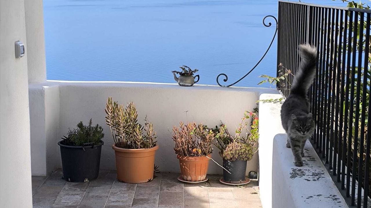 Photo of Patio Balcony in Filicudi