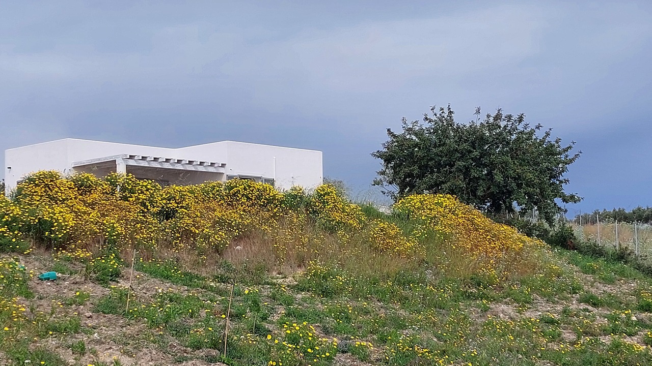 Photo of Outdoor in Siculiana