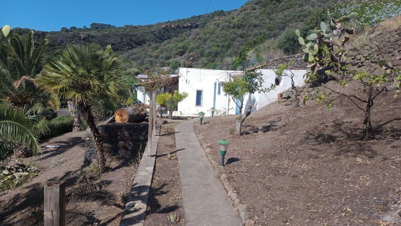 Photo of Outdoor in Lingua