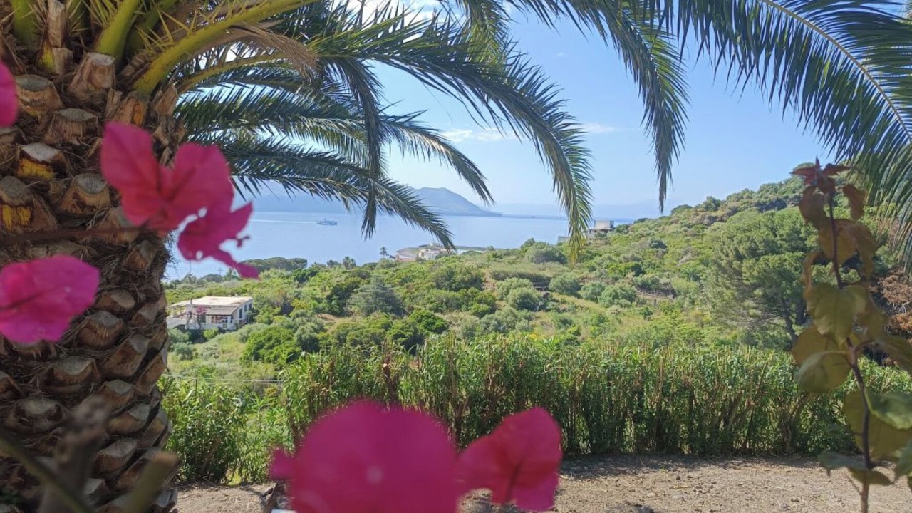 Photo of Outdoor in Lingua