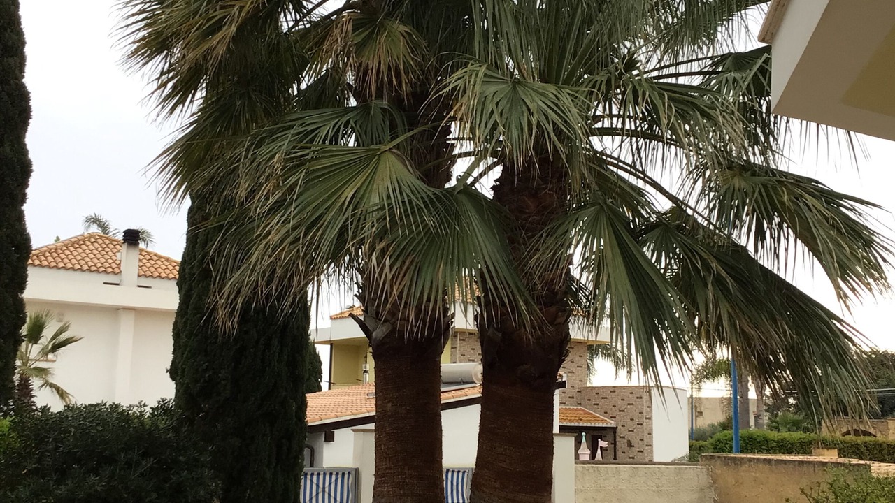 Photo of Outdoor in Sciacca
