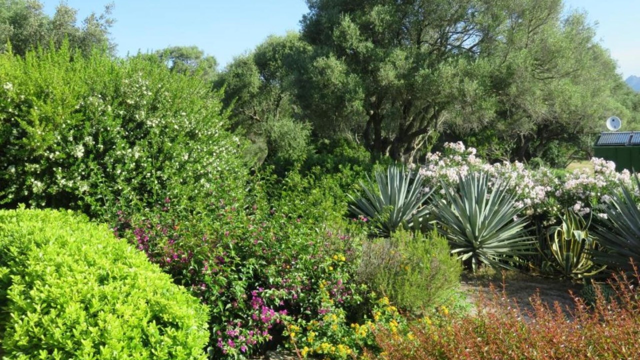 Photo of Outdoor in Sa Castangia