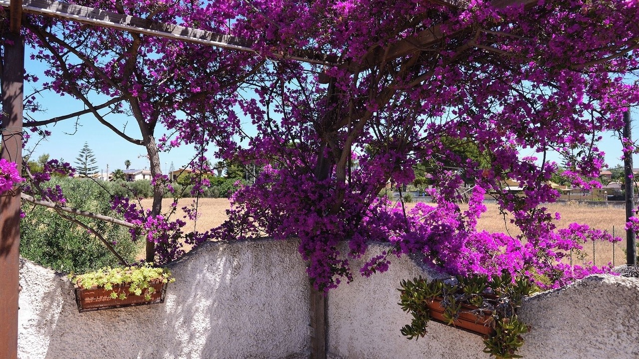 Photo of Outdoor in Punta Milocca