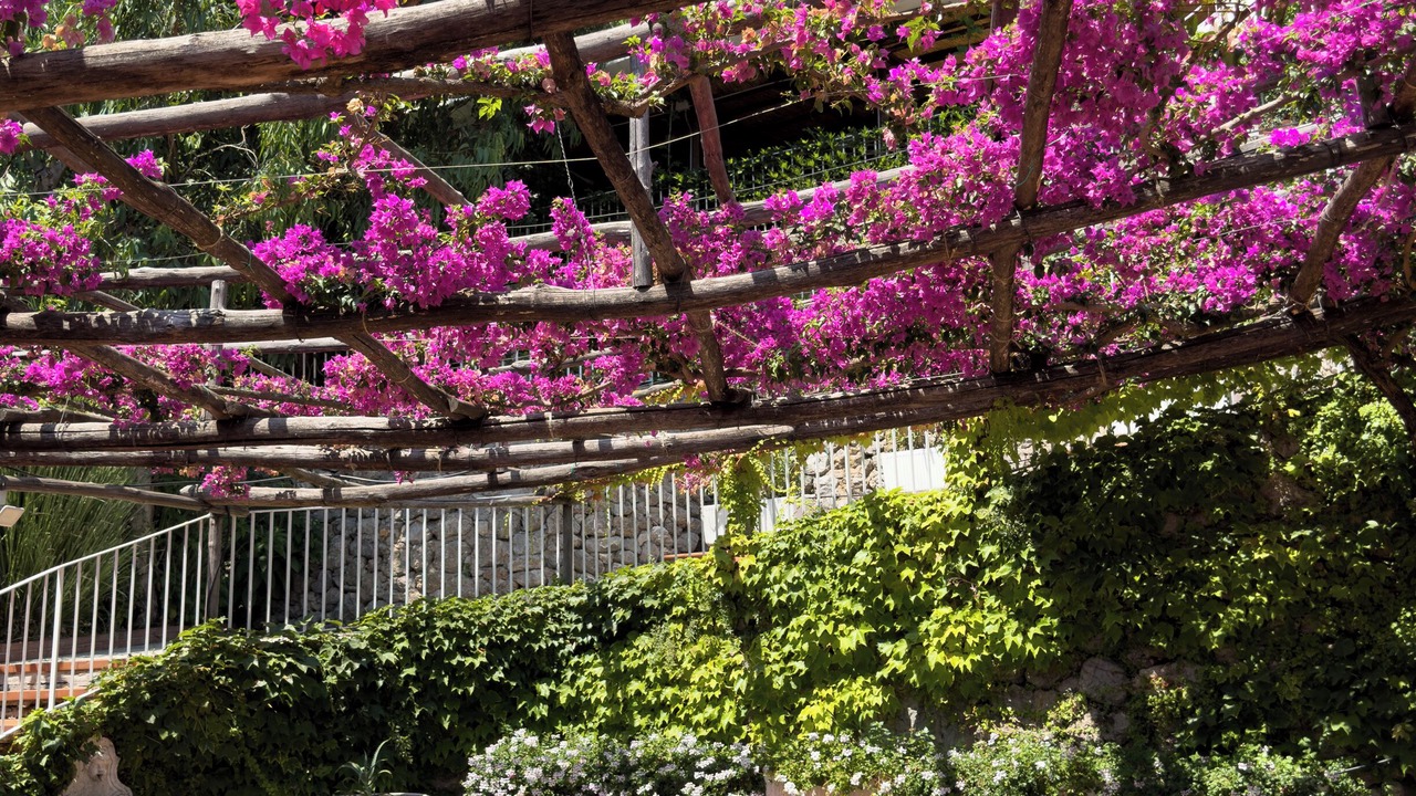 Photo of Outdoor in Pogerola