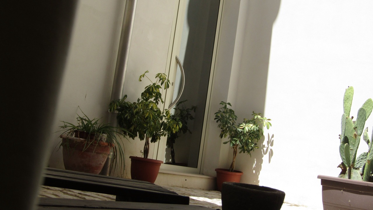 Photo of Outdoor in Scicli