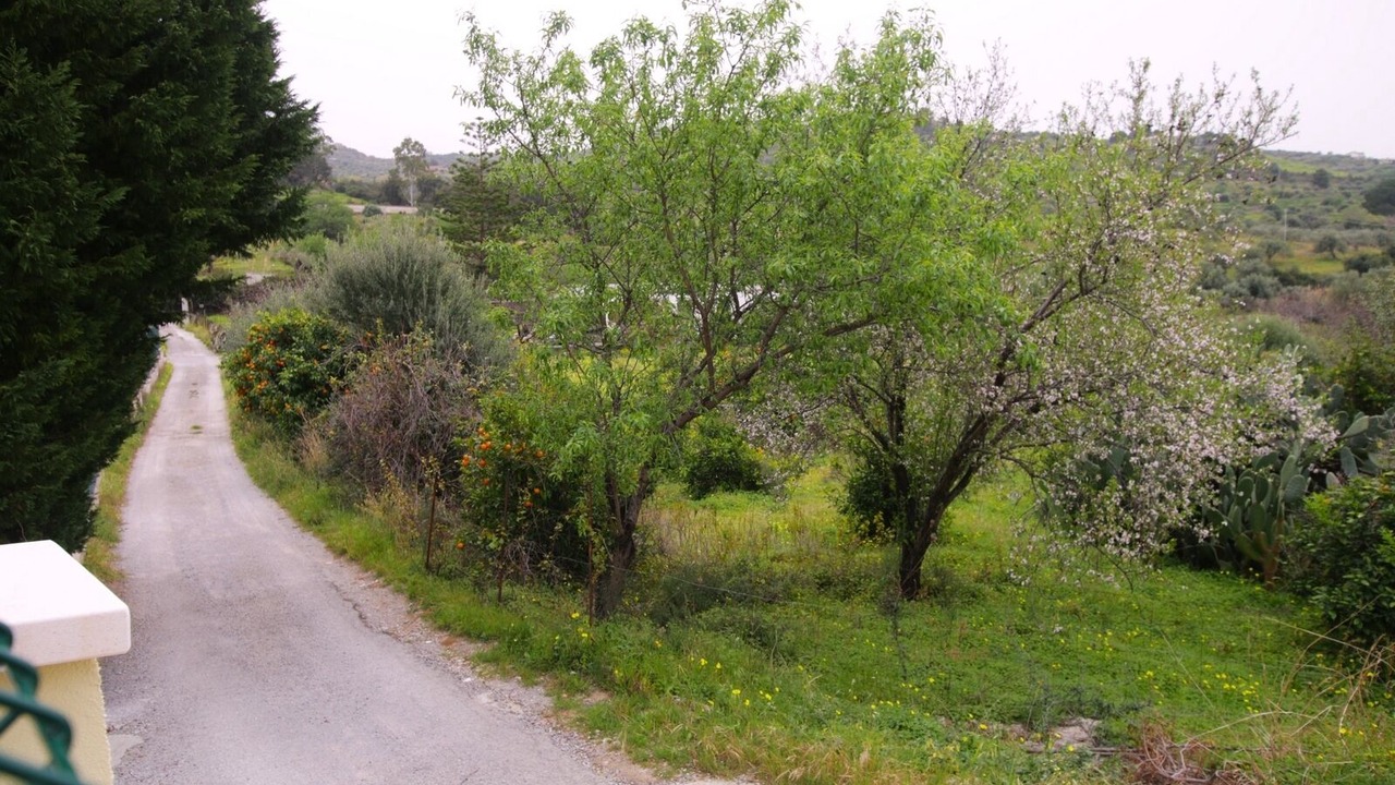 Photo of Outdoor in Campofelice di Roccella