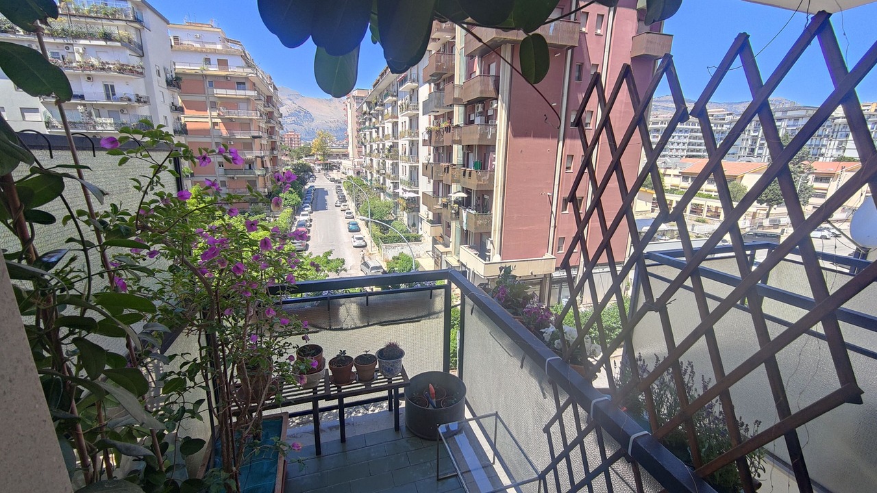 Photo of Outdoor in Palermo