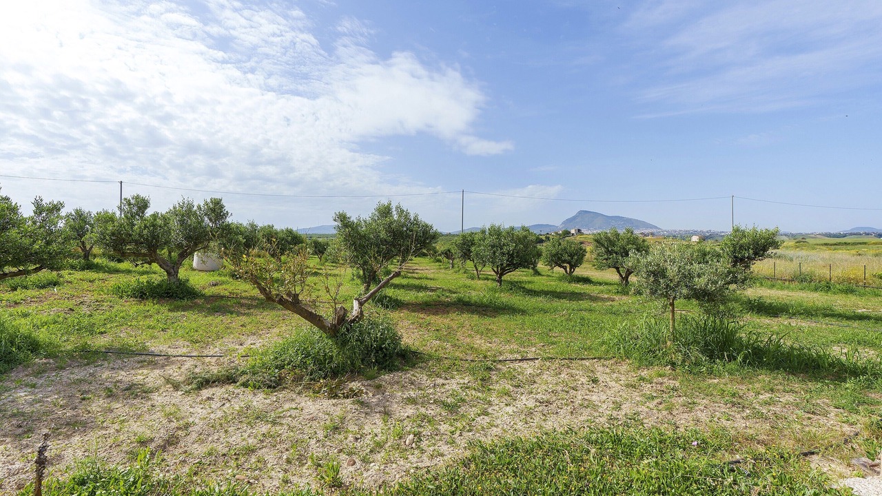 Photo of Others in Partinico