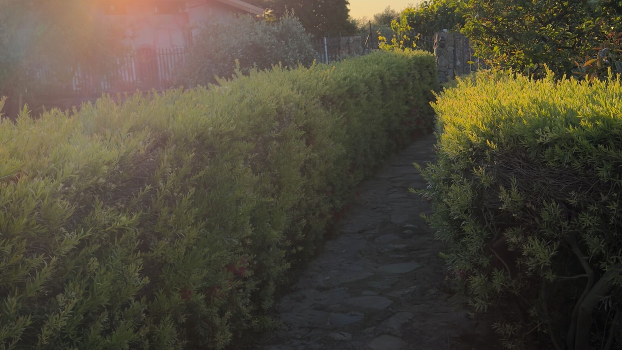 Photo of Outdoor in Calatabiano