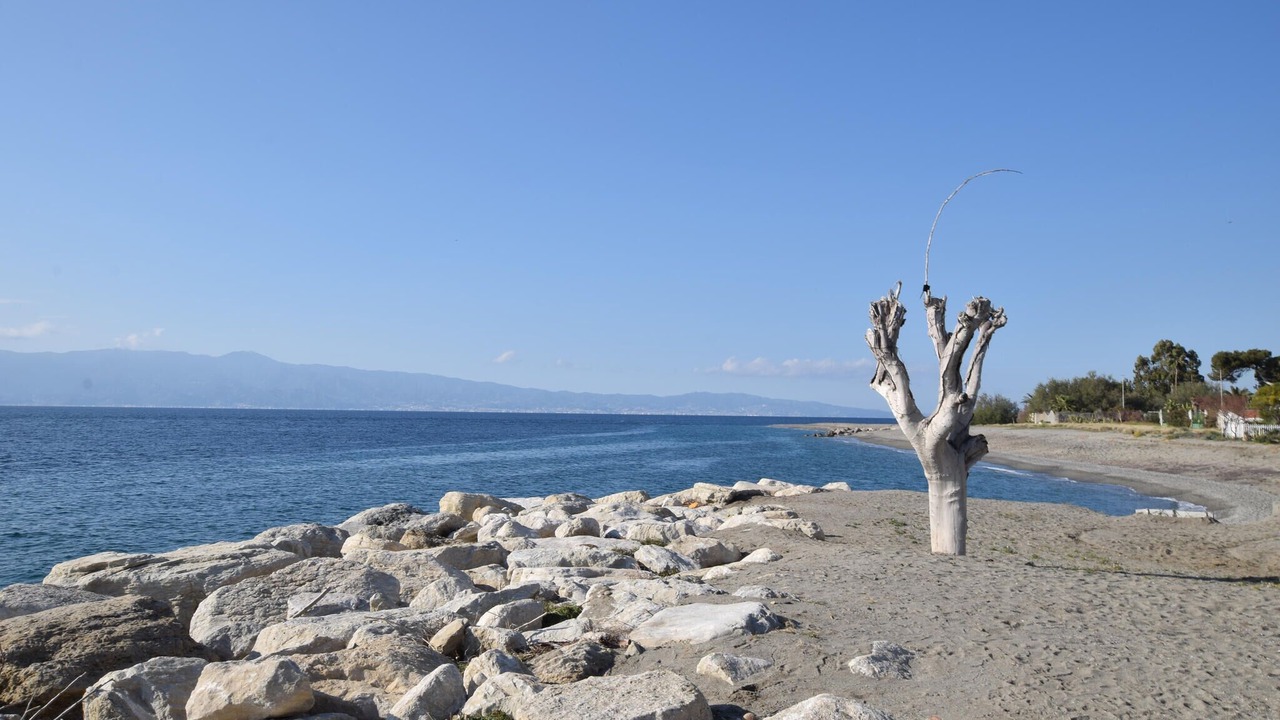 Photo of Others in Palmi