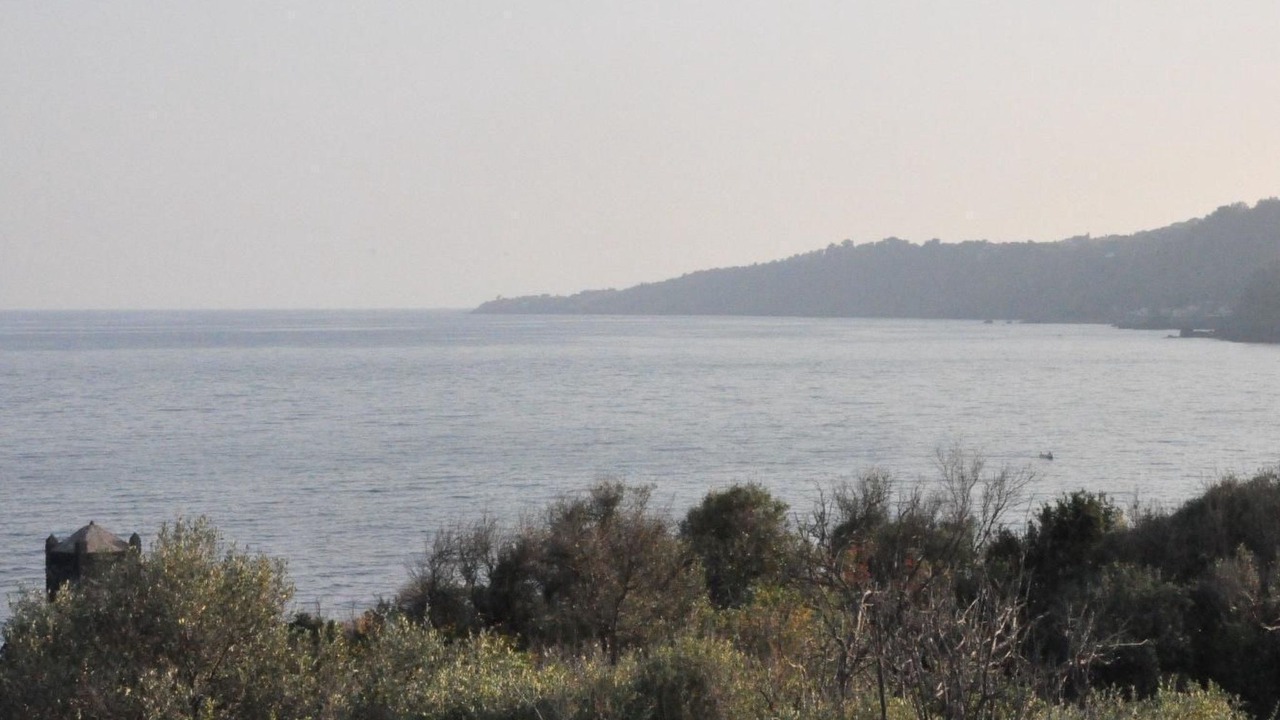 Photo of Others in Santa Tecla