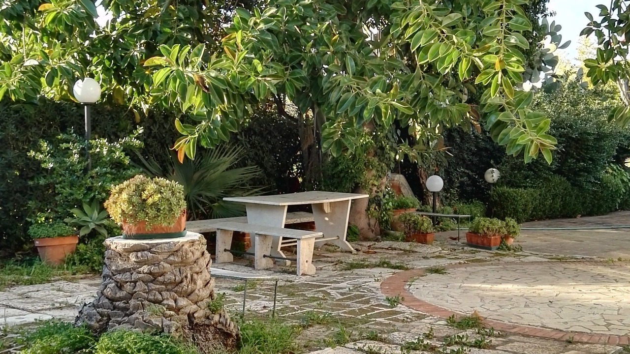 Photo of Others in Ognina