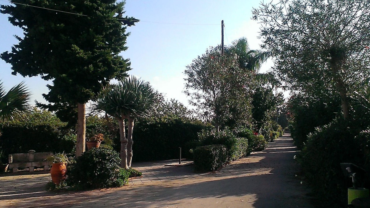 Photo of Others in Ognina