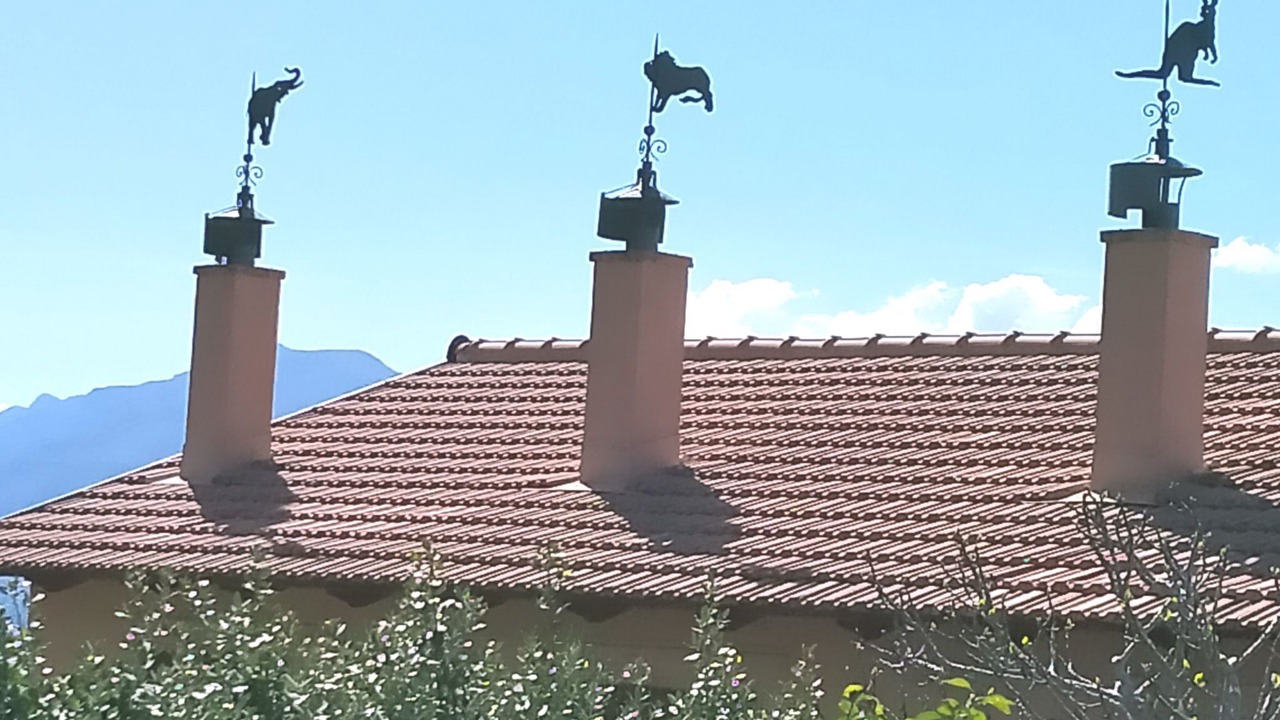 Photo of Others in Porticello
