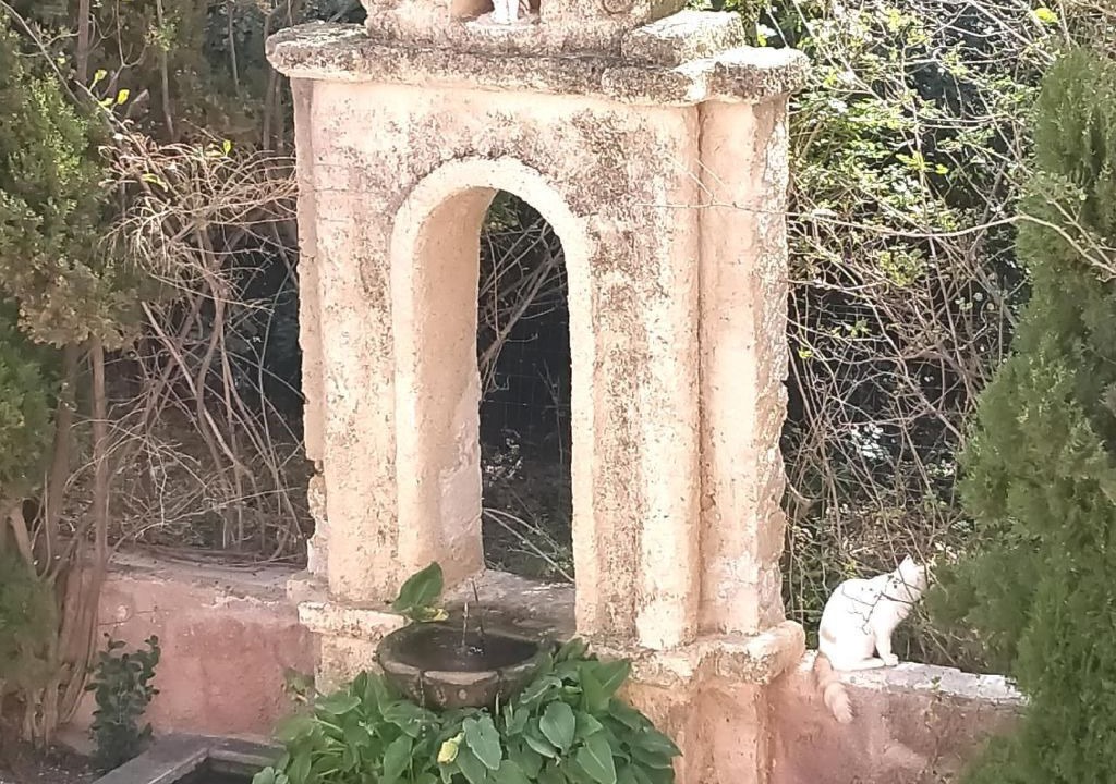 Photo of Others in Porticello