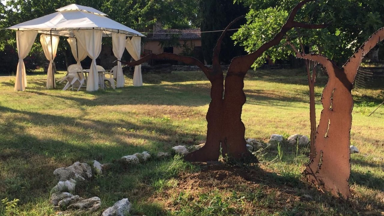 Photo of Outdoor in Amelia
