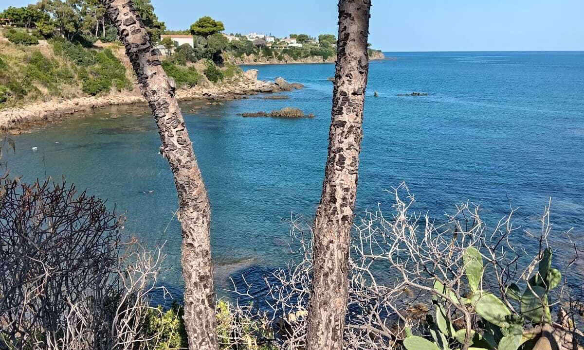 Photo of Others in Cefalu