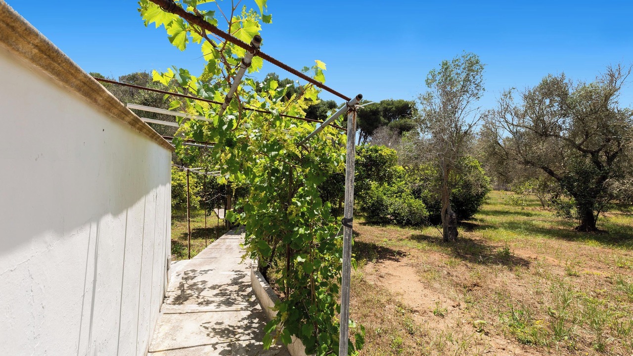 Photo of Outdoor in Torre Specchia Ruggeri