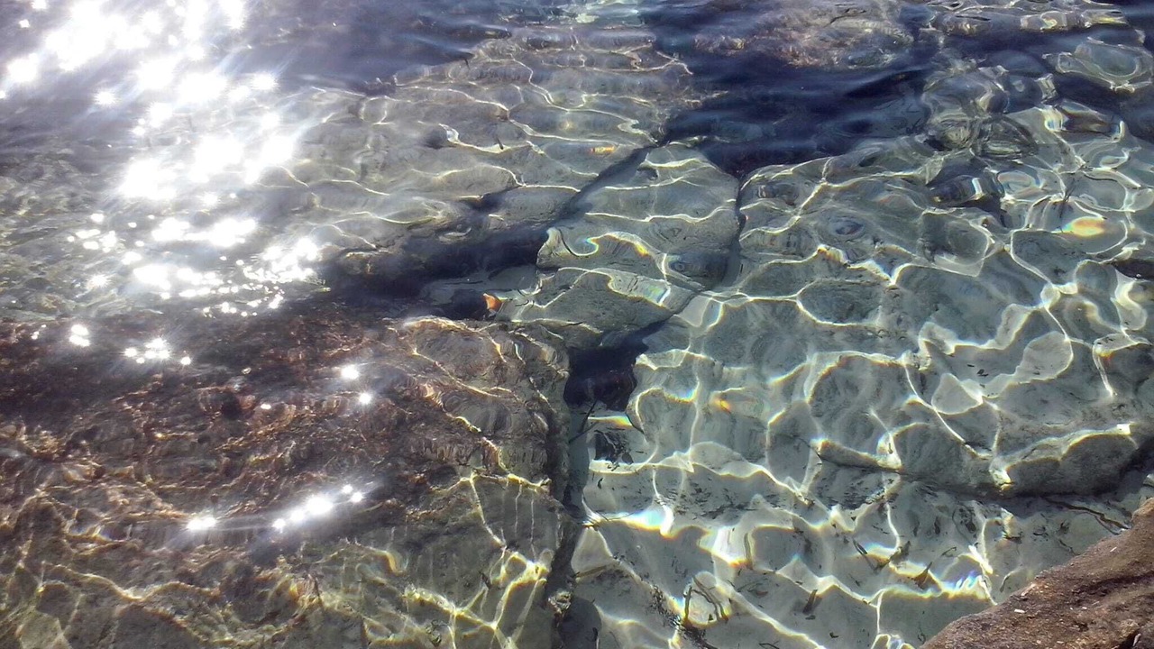 Photo of Others in Favignana