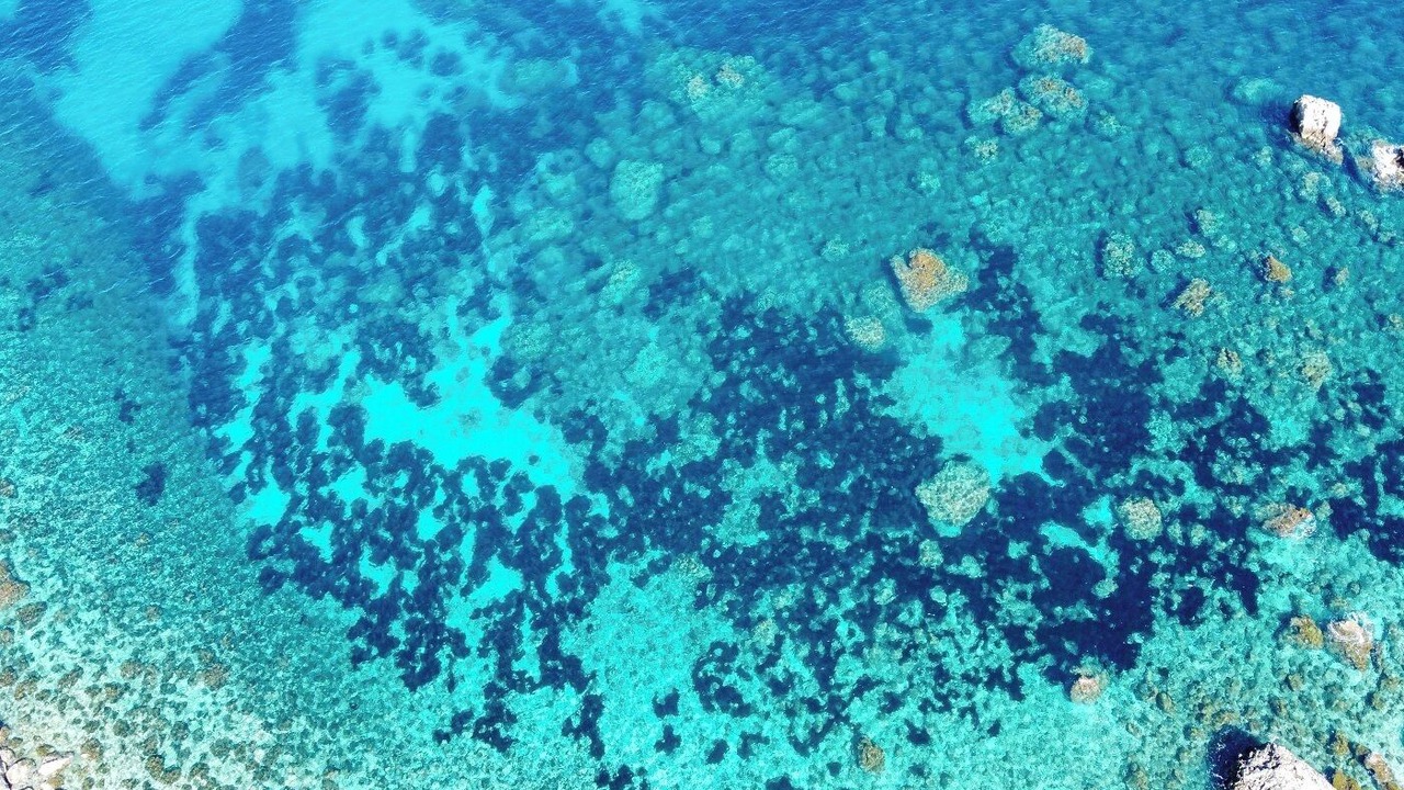 Photo of Outdoor in Scopello