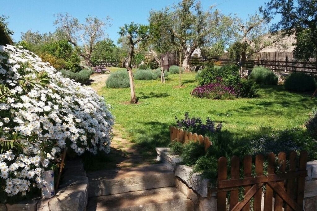 Photo of Outdoor in Alberobello