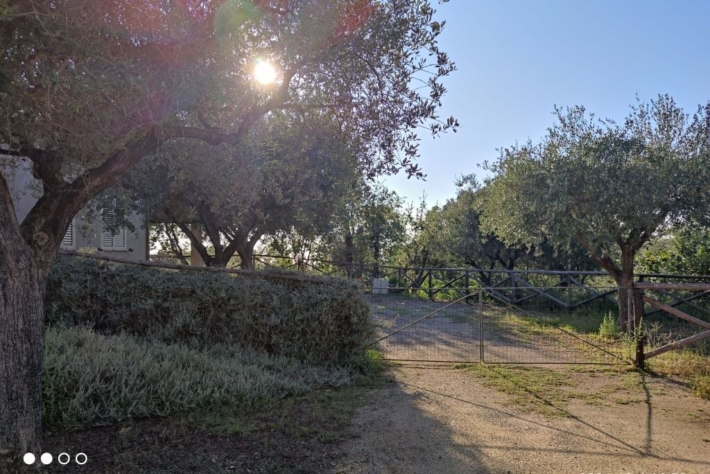 Photo of Outdoor in Santa Maria