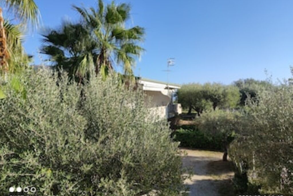 Photo of Outdoor in Santa Maria