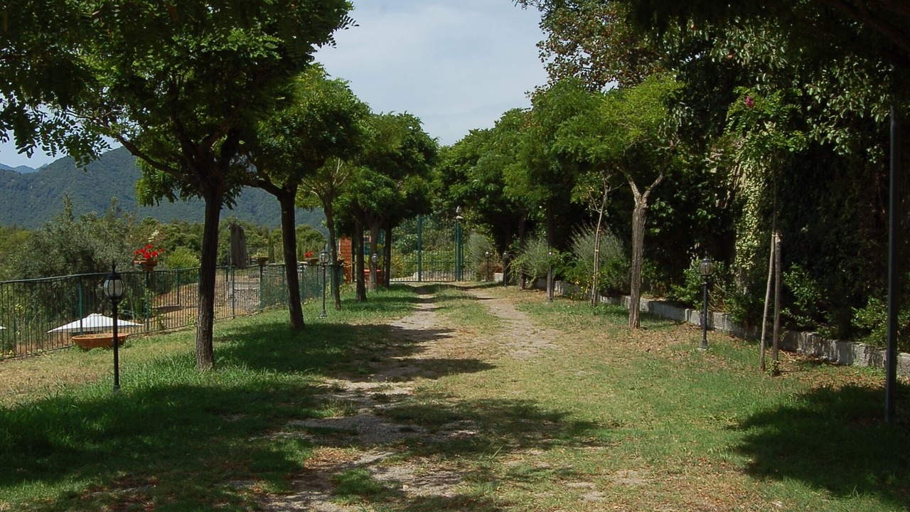 Photo of Others in Salerno