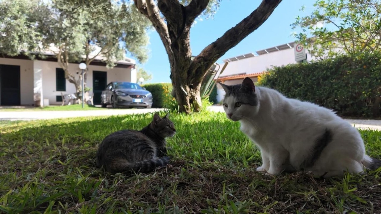 Photo of Outdoor in Marsala