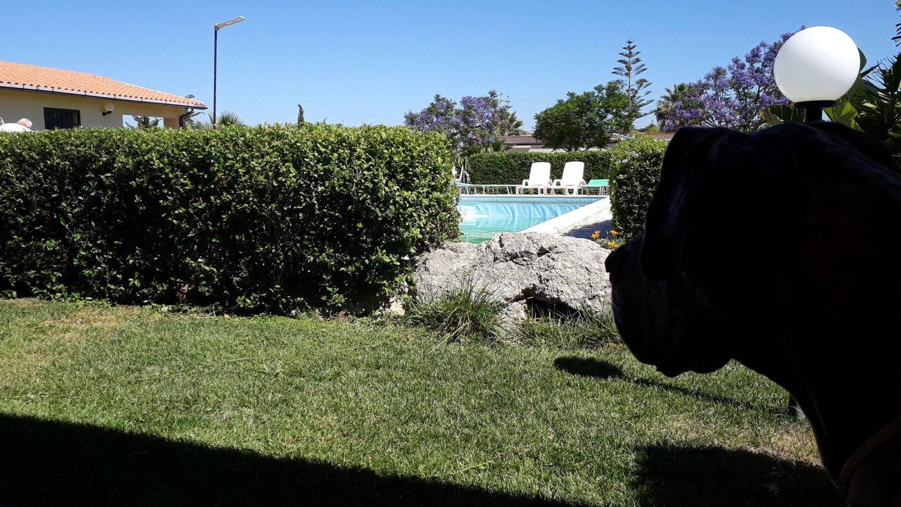 Photo of Others in Cattolica Eraclea