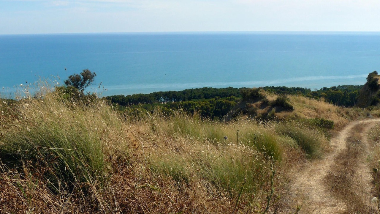 Photo of Others in Cattolica Eraclea