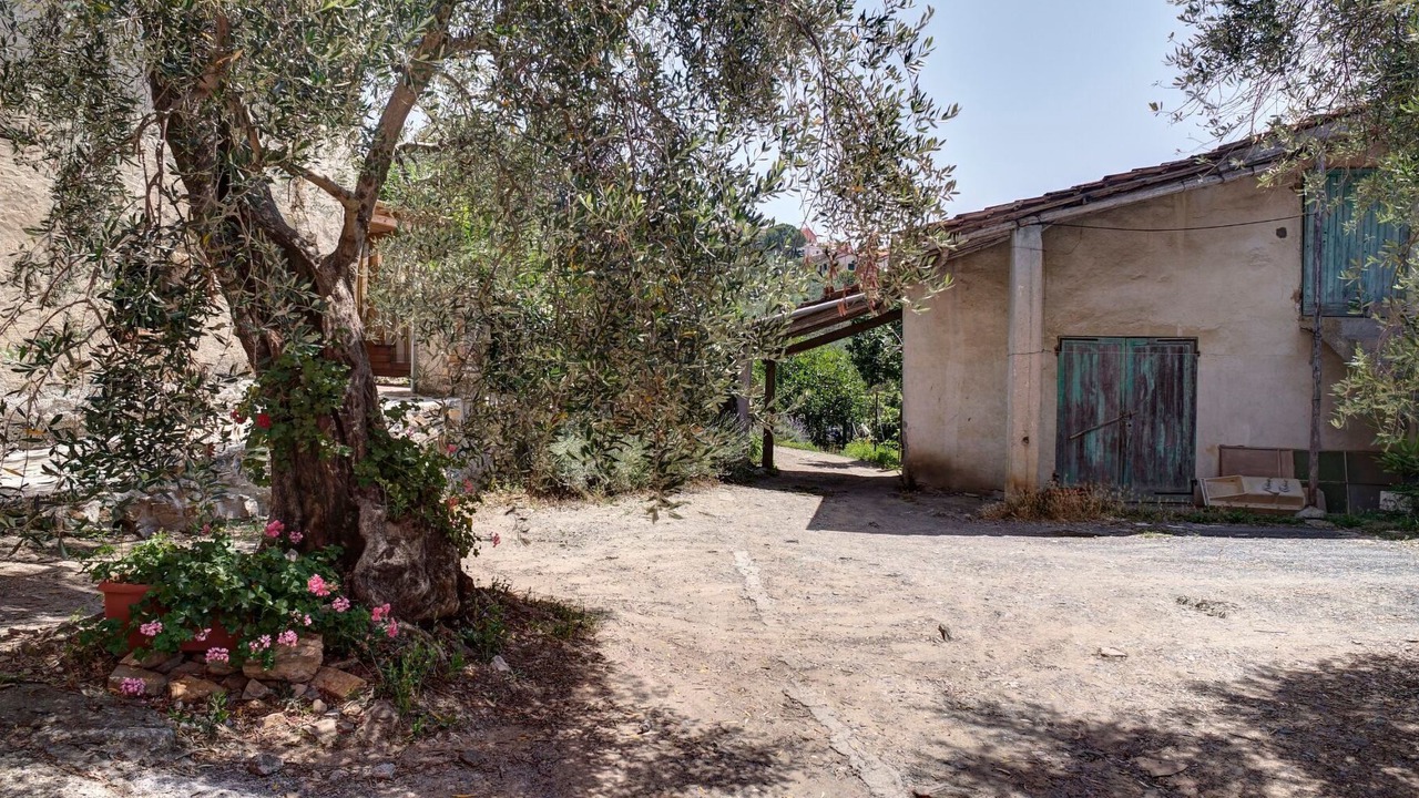 Photo of Others in Diano San Pietro