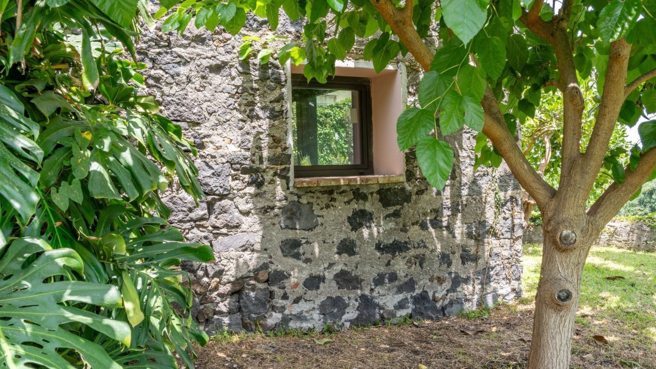 Photo of Others in Coste
