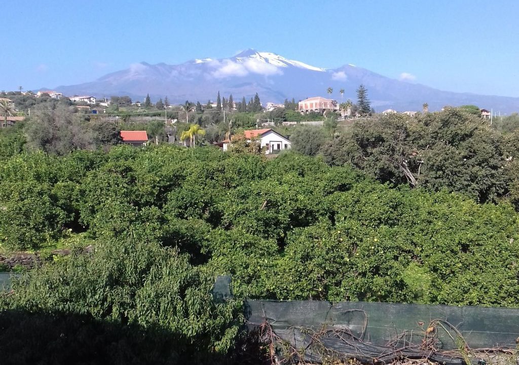 Photo of Others in Santa Tecla