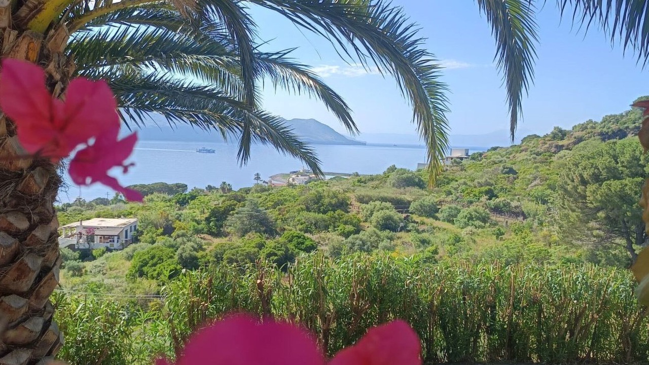Photo of Outdoor in Lingua