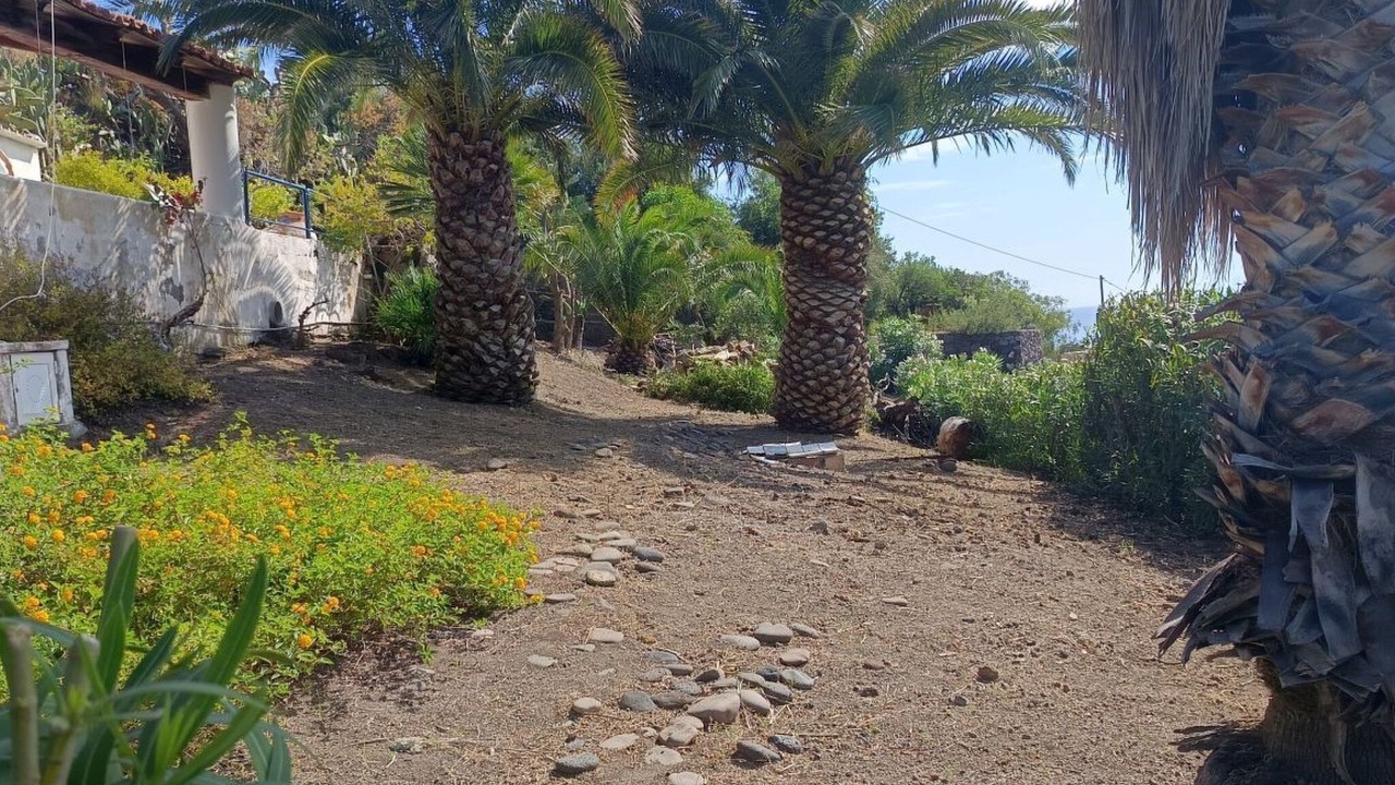 Photo of Outdoor in Lingua